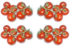 Tomaten-4x7.jpg